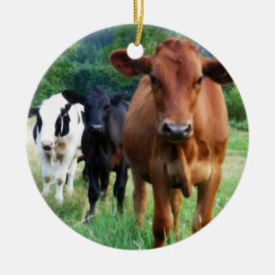 Small Herd of Three Cows Ceramic Tree Decoration