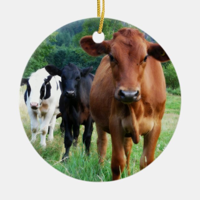 Small Herd of Three Cows Ceramic Tree Decoration (Front)