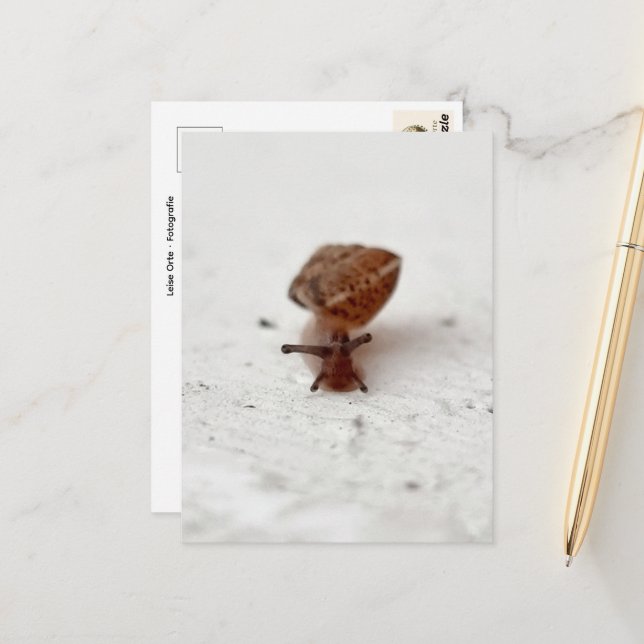 Small Journey – Snail on Light Background Postcard (Front/Back In Situ)