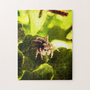 Small Jumping Spider Jigsaw Puzzle