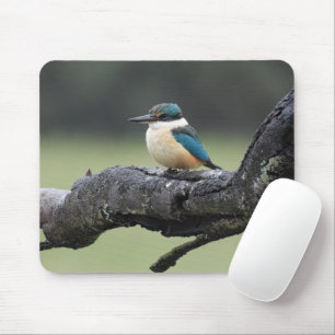 Small Kookaburra Bird Mouse Pad