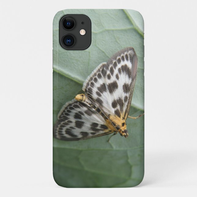 Small Magpie Moth iPhone 3 Case (Back)
