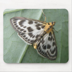 Small Magpie Moth Mousepad