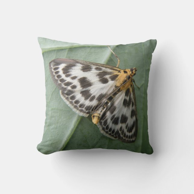 Small Magpie Moth Pillow (Front)