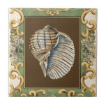 Small Mermaid's Shells Tile<br><div class="desc">Charikilia Zarris is a talented artist know for her ocean artwork. Her images are peaceful and calm relaxing you with every picture. Get this nautical piece of artwork with a Conch Shell being the centre of it all,  bordered with decorative and a beautiful floral pattern.</div>