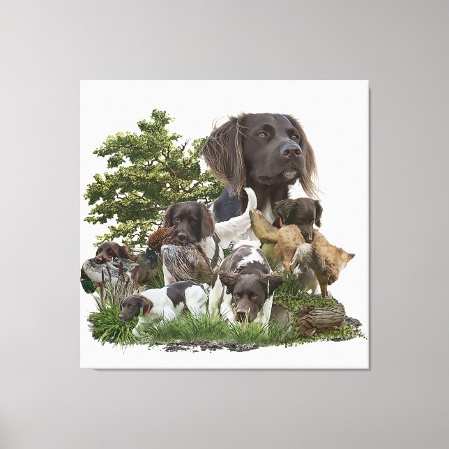Small Munsterlander  Canvas Print (Front)
