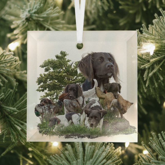 Small Munsterlander   Glass Tree Decoration (Insitu)