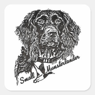 Small Munsterlander (logo)  Square Sticker