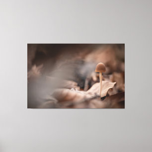 Small Mushroom Nature Photo Canvas Print