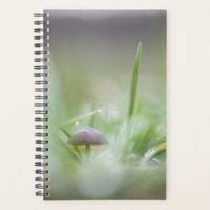 Small Mushroom, nature photo Planner
