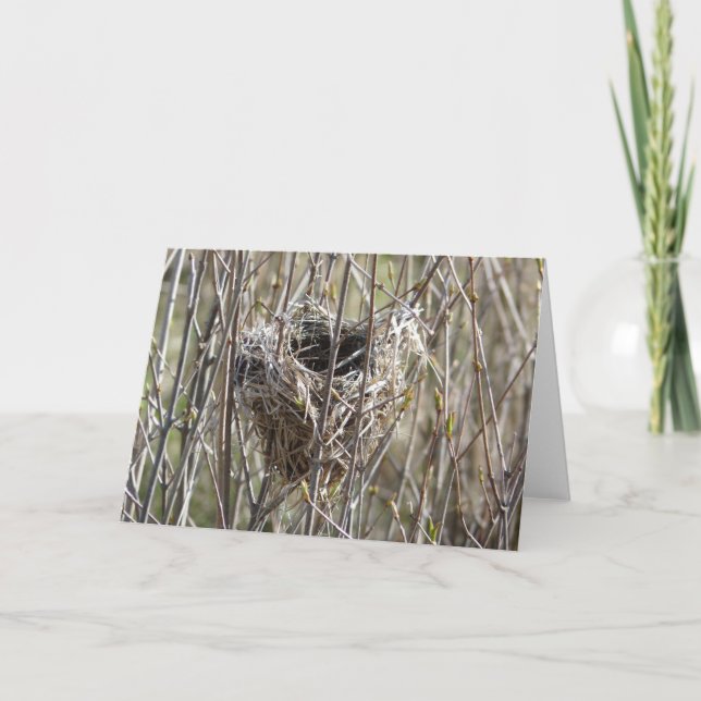 Small Nest Card (Front)