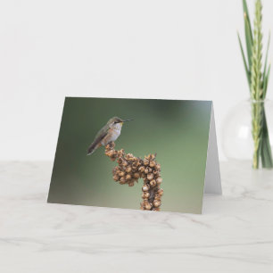 Small Orange Hummingbird Card