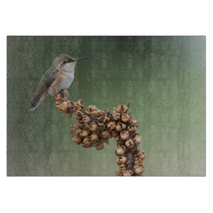 Small Orange Hummingbird Cutting Board