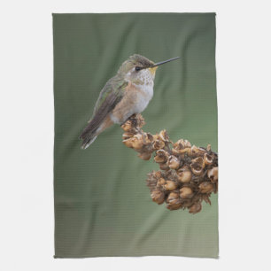 Small Orange Hummingbird Tea Towel