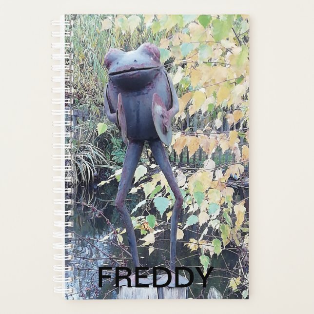 Small ornamental statue of a frog. planner (Front)