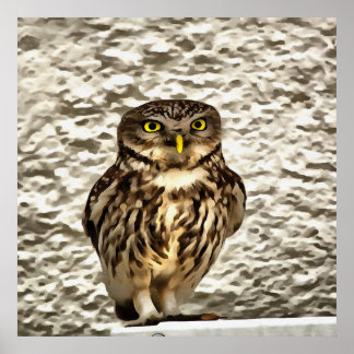 Small Owl In Camouflage Poster