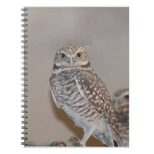 Small Owl Spiral Notebook