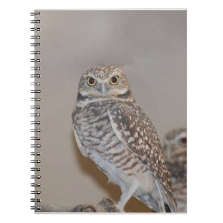 Small Owl Spiral Notebook