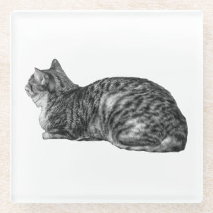 Small Pause, Tabby Poise Glass Coaster