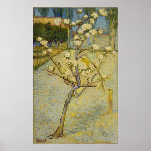 Small Pear Tree in Blossom by Vincent Van Gogh Poster