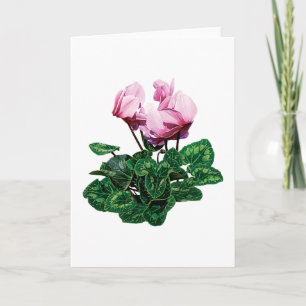 Small Pink Cyclamen Holiday Card