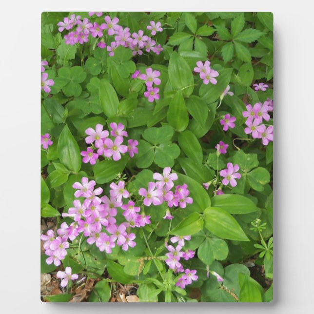 Small pink delicate wildflowers plaque (Front)