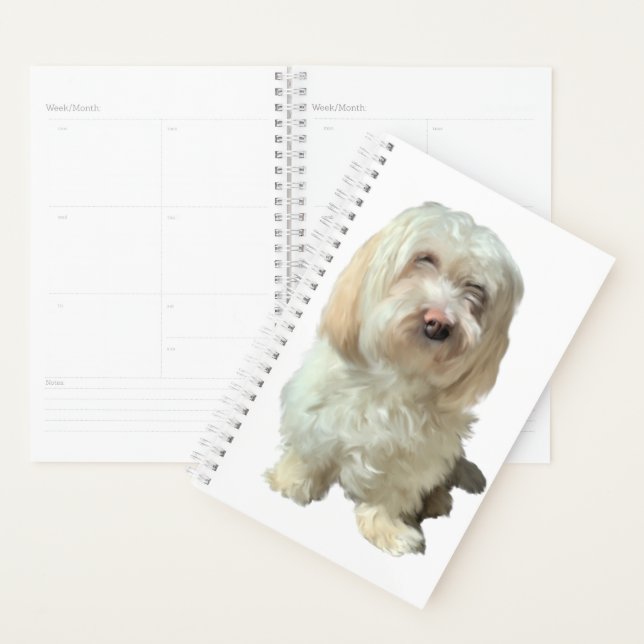 Small Planner Havanese Dog (Display)
