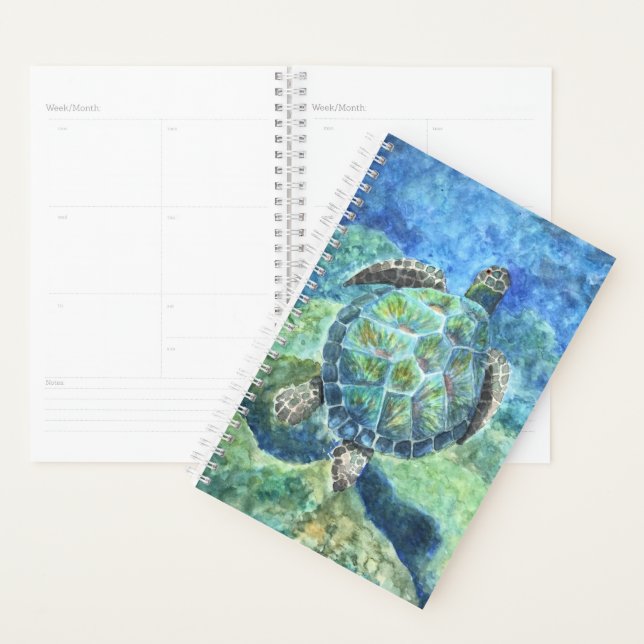 Small Planner Watercolor Sea Turtle #2 (Display)