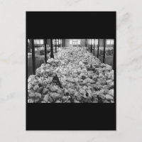 Small portions of the Christmas mail_war image