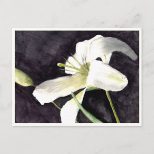 Small Postcard 4.25" x 5.6"