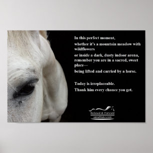 Small Poster with a white horse and a quote