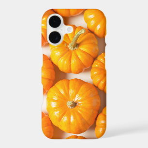 Small Pumpkins Cute Fall Photo Autumn