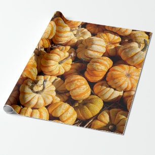 small pumpkins in stack wrapping paper