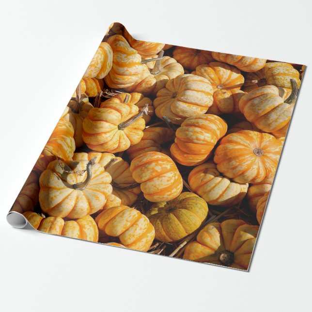 small pumpkins in stack wrapping paper (Unrolled)