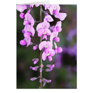 Small Purple Flower