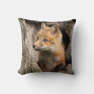 Small Red Fox in a Tree  Hollow Cushion