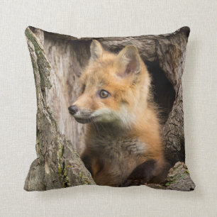 Small Red Fox in a Tree  Hollow Cushion