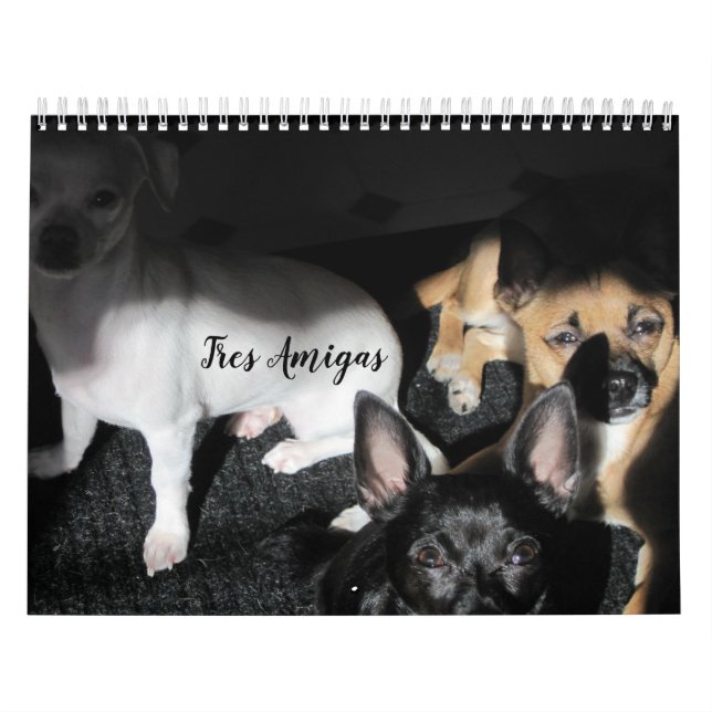Small Rescue Dogs 12-Month Calendar (Cover)