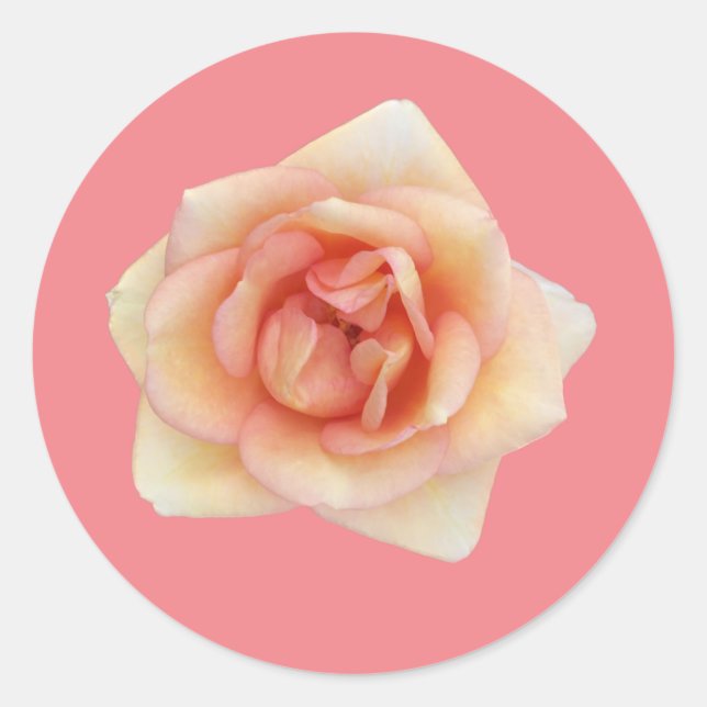 Small Rose Sticker (Front)