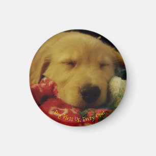 Small, Round Winston Puppy Christmas Magnet