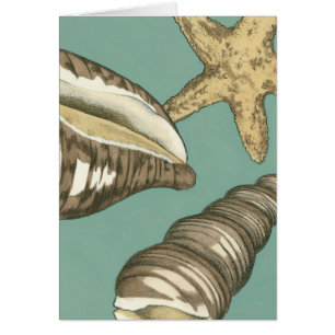 Small Shell Trio on Teal