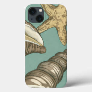 Small Shell Trio on Teal iPhone 13 Case