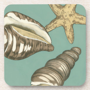 Small Shell Trio on Teal Coaster