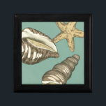 Small Shell Trio on Teal Gift Box<br><div class="desc">Megan Meagher is known for her simple art pieces. This image captures the simplicity of the seashore's treasures,  of a conch shells and a starfish. Meagher encompasses a teal background in her image to contrast these treasures. Get this fine art print today on your Zazzle product today.</div>