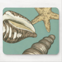 Small Shell Trio on Teal