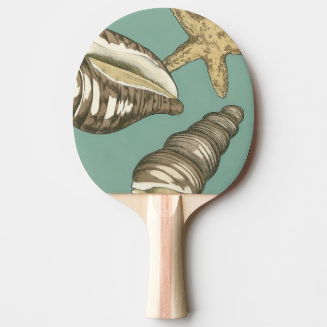 Small Shell Trio on Teal Ping Pong Paddle (Front)