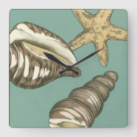Small Shell Trio on Teal