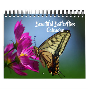 Small Size Beautiful Butterflies Calendar