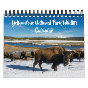 Small Size Yellowstone Calendar-Wildlife Calendar