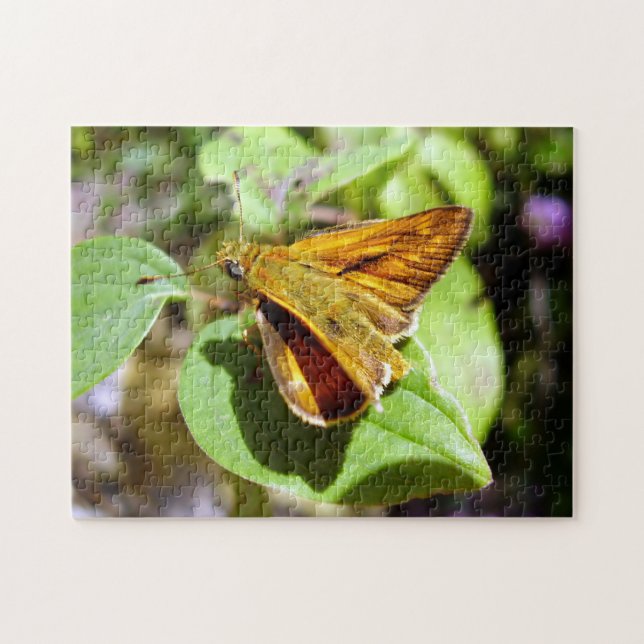 Small Skipper Butterfly Photo Puzzle with Gift Box (Horizontal)